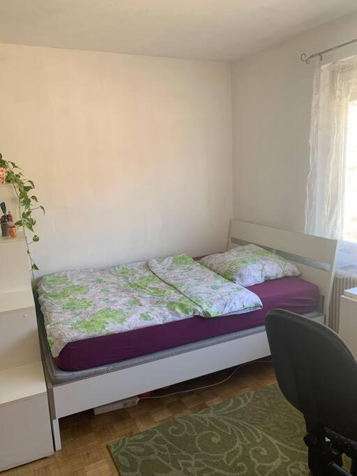 Kleine Wohnung Im Zentrum Graz Ngoại thất bức ảnh